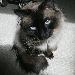 Meet your Posher, Kathy